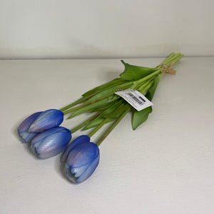 Tulipani Azzurri